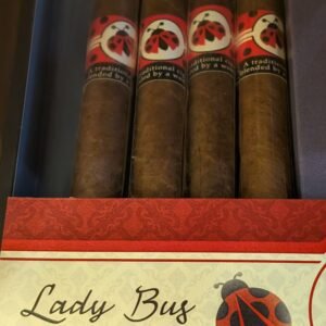 TEH Lady Bug