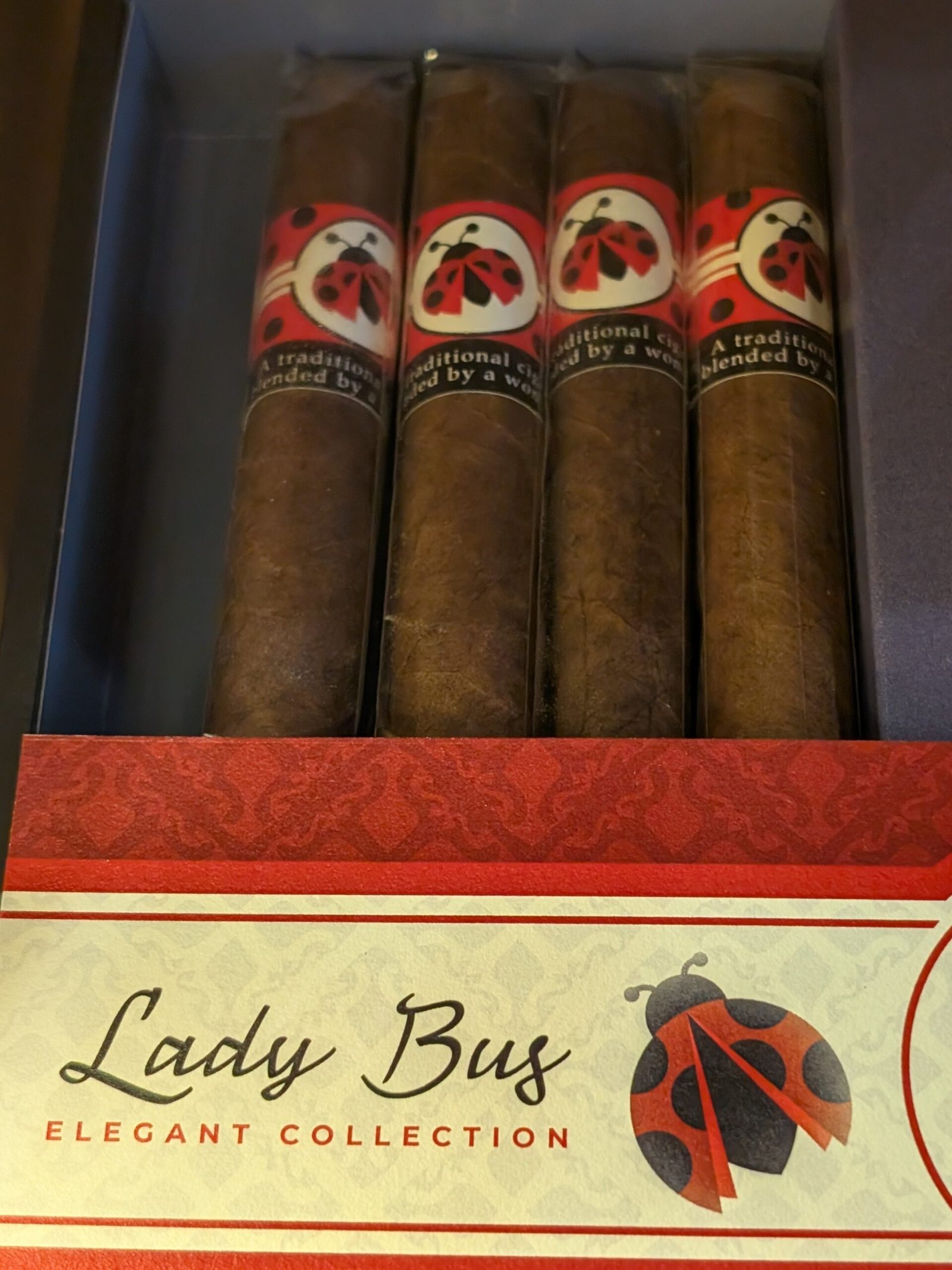 TEH Lady Bug